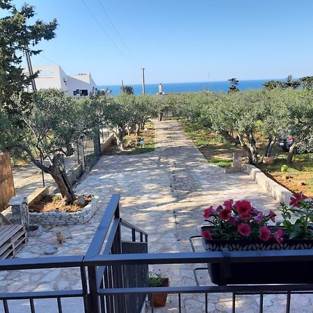 Villa L'Orizzonte Di Calabianca カステッランマーレ・デル・ゴルフォ エクステリア 写真
