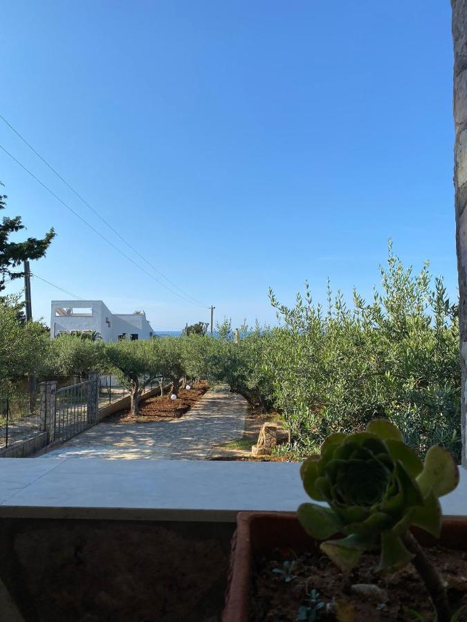 Villa L'Orizzonte Di Calabianca カステッランマーレ・デル・ゴルフォ エクステリア 写真