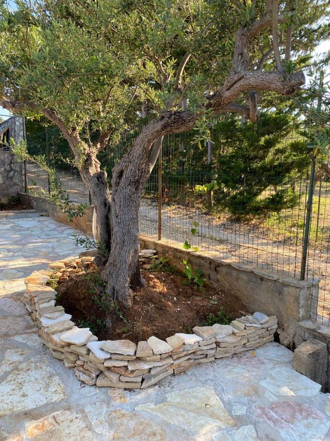 Villa L'Orizzonte Di Calabianca カステッランマーレ・デル・ゴルフォ エクステリア 写真
