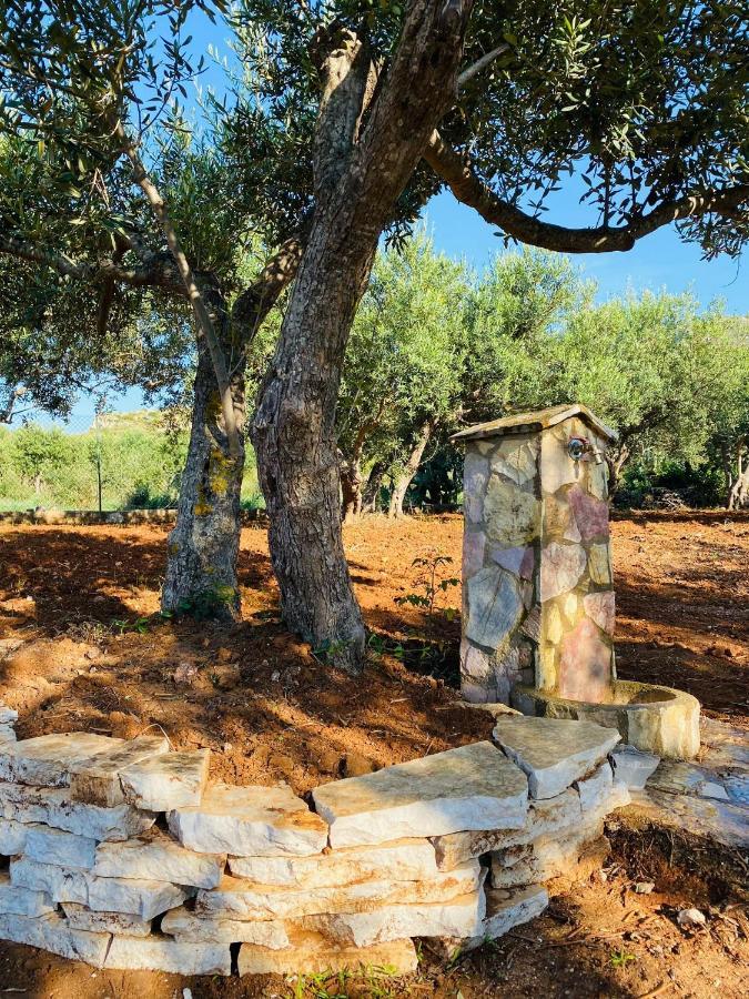 Villa L'Orizzonte Di Calabianca カステッランマーレ・デル・ゴルフォ エクステリア 写真