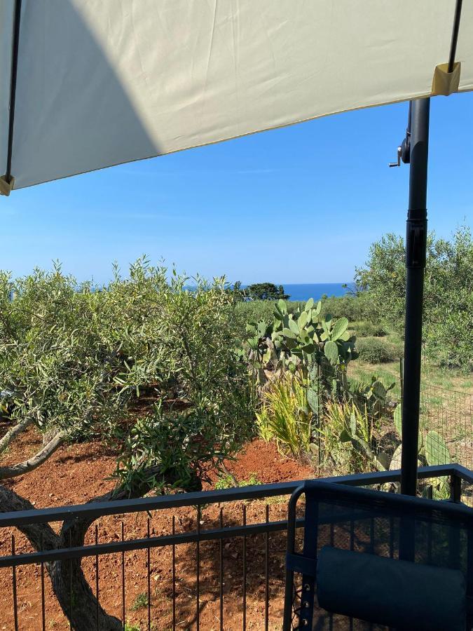Villa L'Orizzonte Di Calabianca カステッランマーレ・デル・ゴルフォ エクステリア 写真