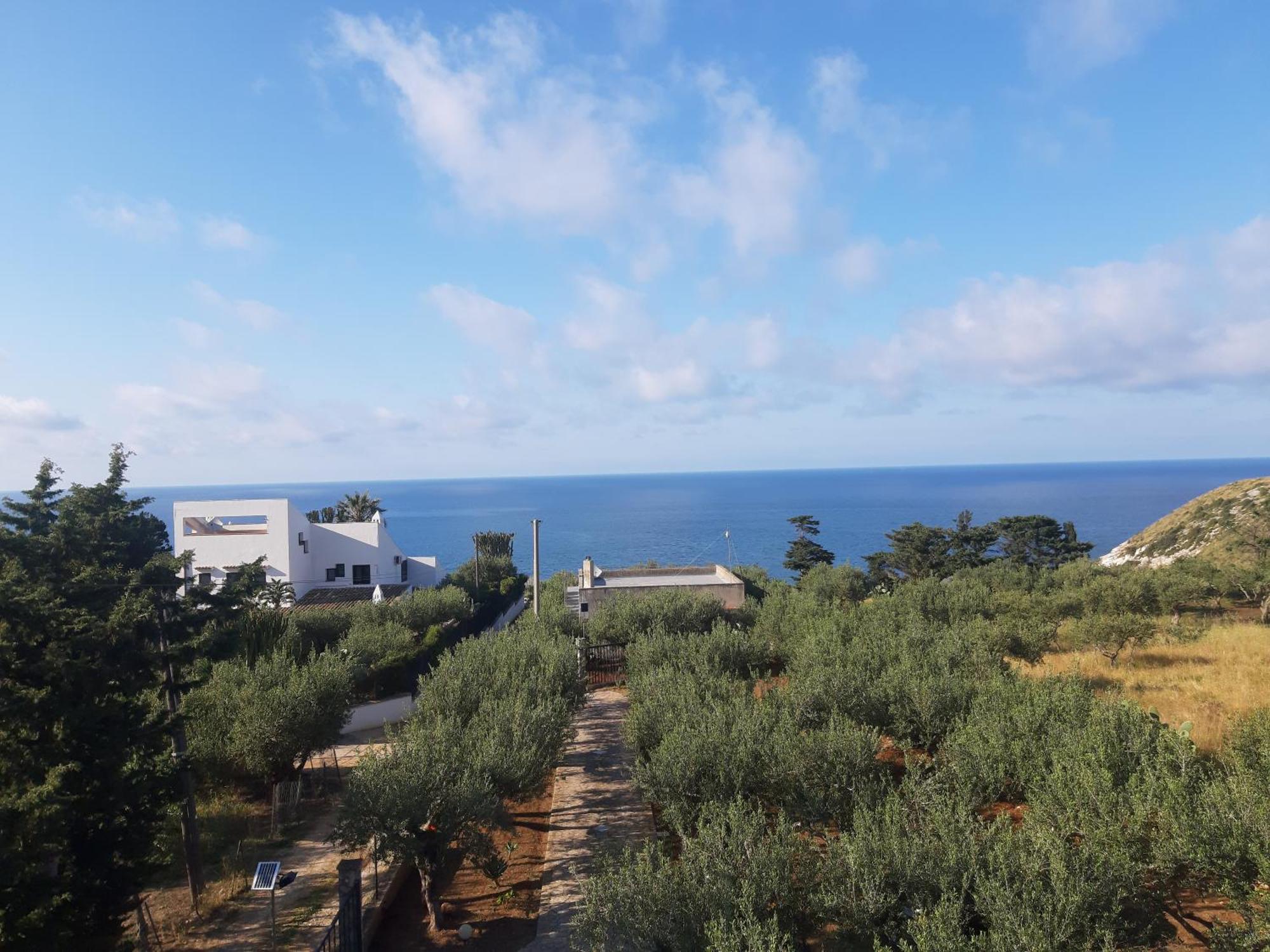 Villa L'Orizzonte Di Calabianca カステッランマーレ・デル・ゴルフォ エクステリア 写真