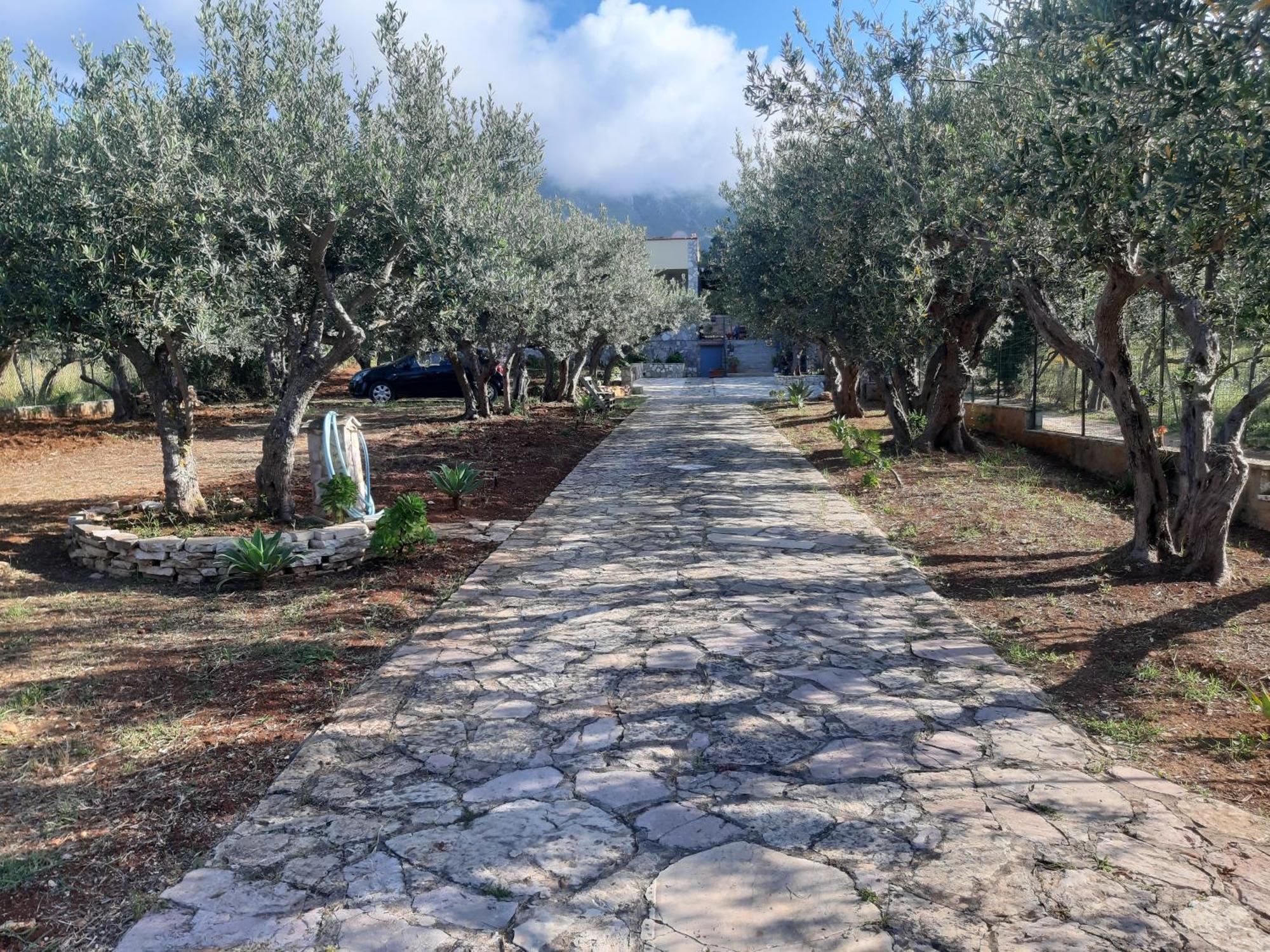 Villa L'Orizzonte Di Calabianca カステッランマーレ・デル・ゴルフォ エクステリア 写真