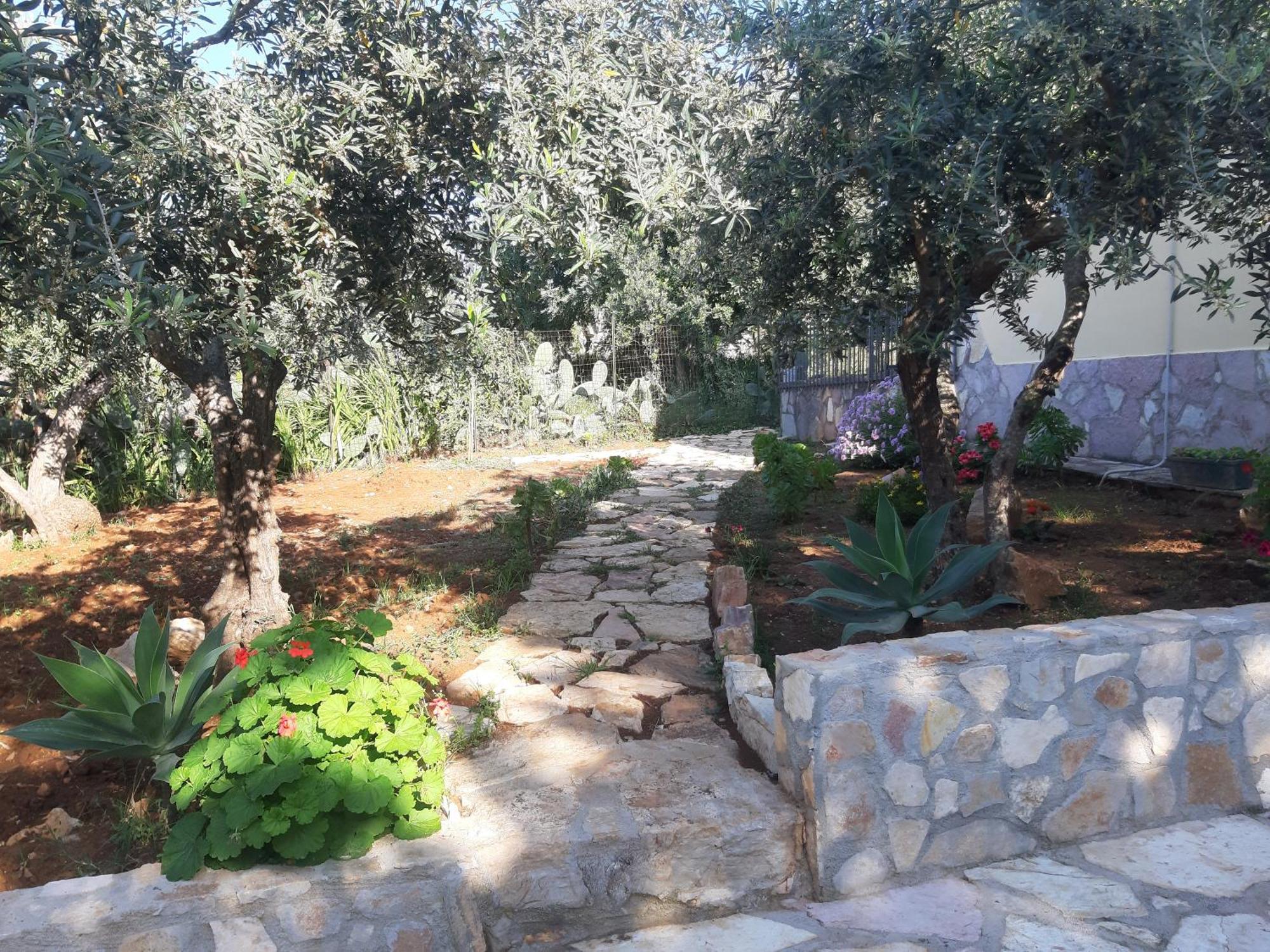Villa L'Orizzonte Di Calabianca カステッランマーレ・デル・ゴルフォ エクステリア 写真